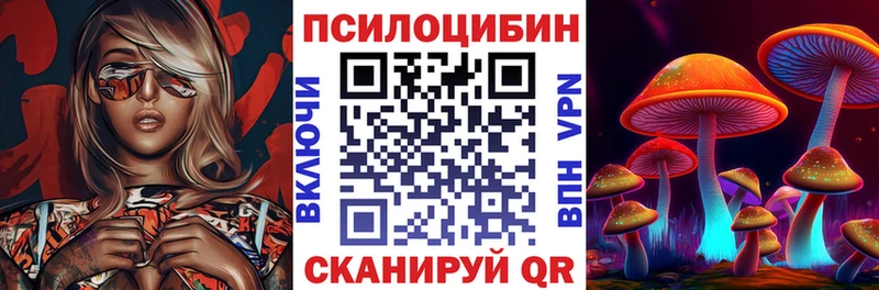 кракен как войти  Новый Уренгой  Галлюциногенные грибы мицелий 