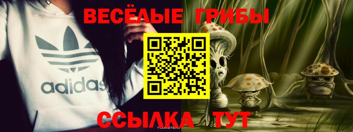 Галлюциногенные грибы MAGIC MUSHROOMS  Галлюциногенные грибы ЛСД  Новый Уренгой  Вход с VPN 